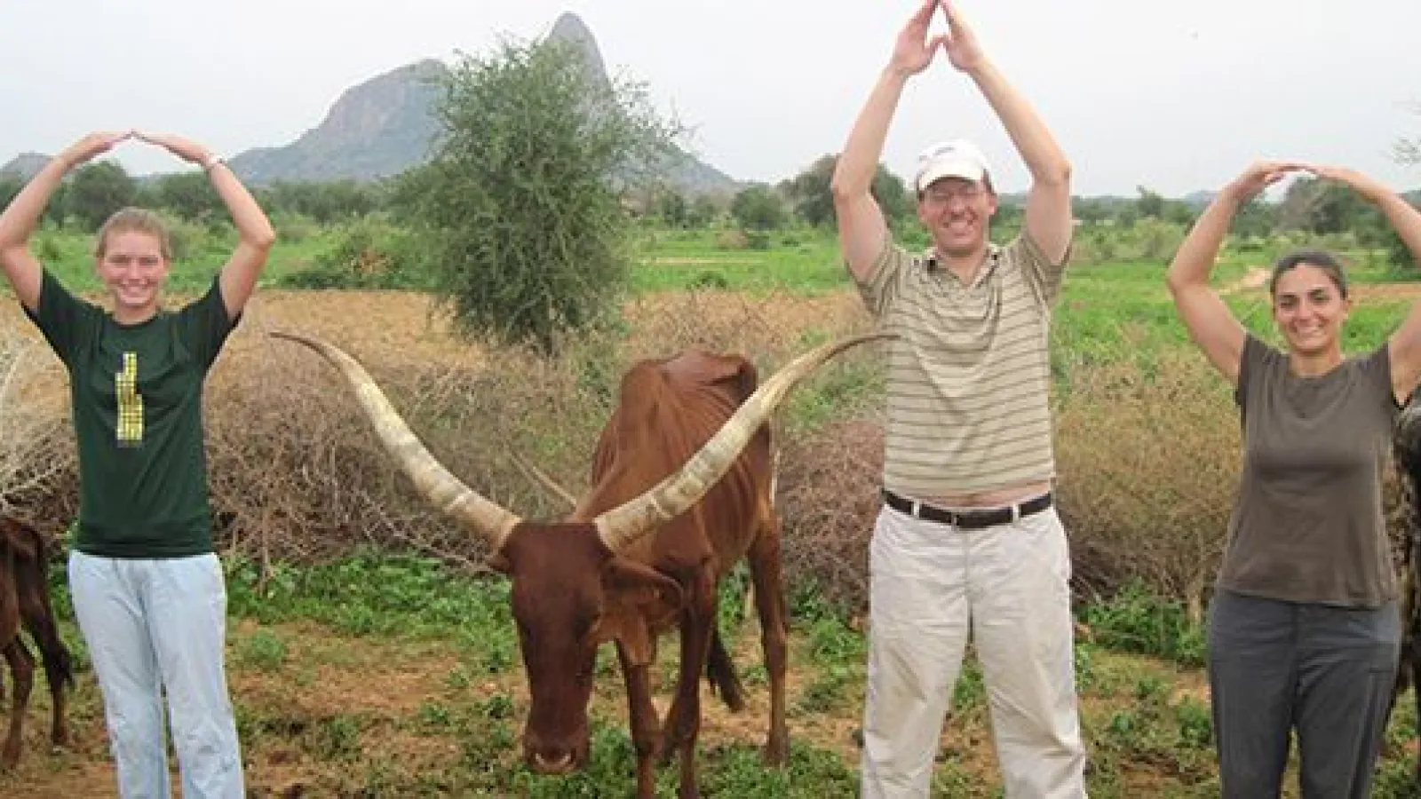 DECML in Cameroon