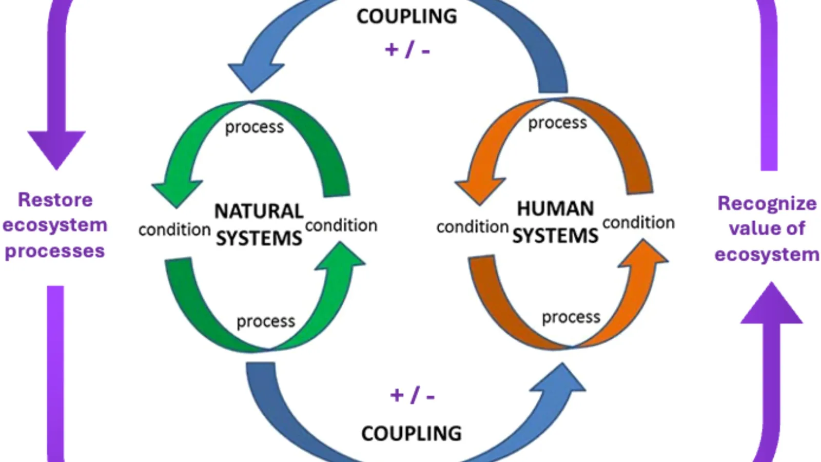New paper in Frontiers in Conservation Science