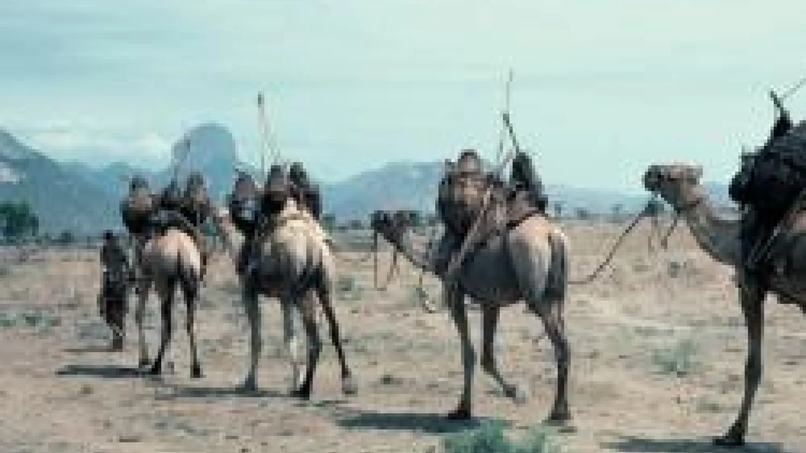 East African Pastoralism Under Stress: Threats to Livestock, Land, and Way of Life Cover