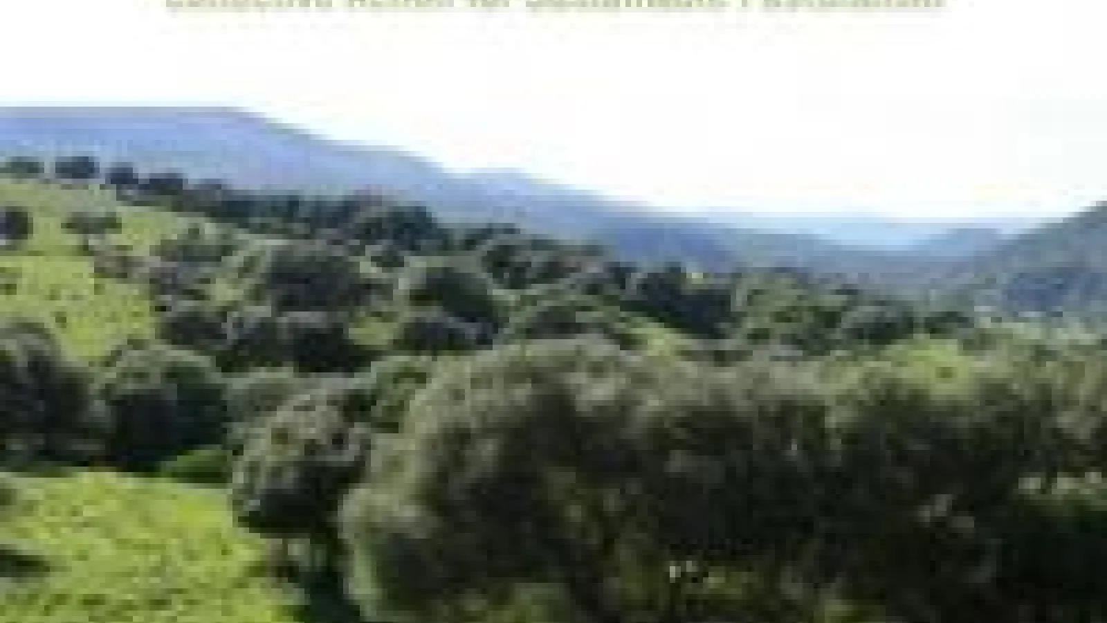 Cover Governance of Rangelands.