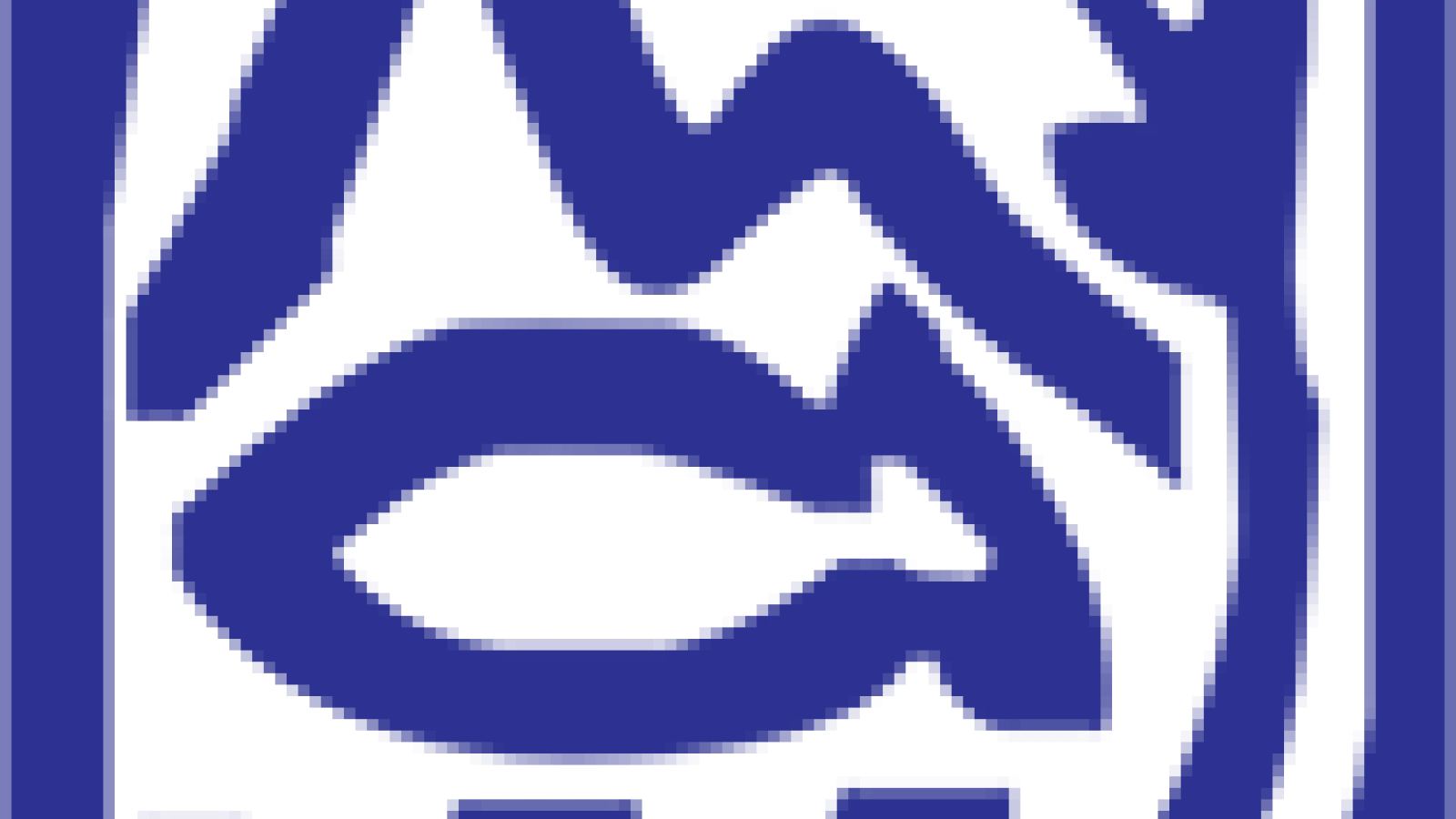 IJC logo.