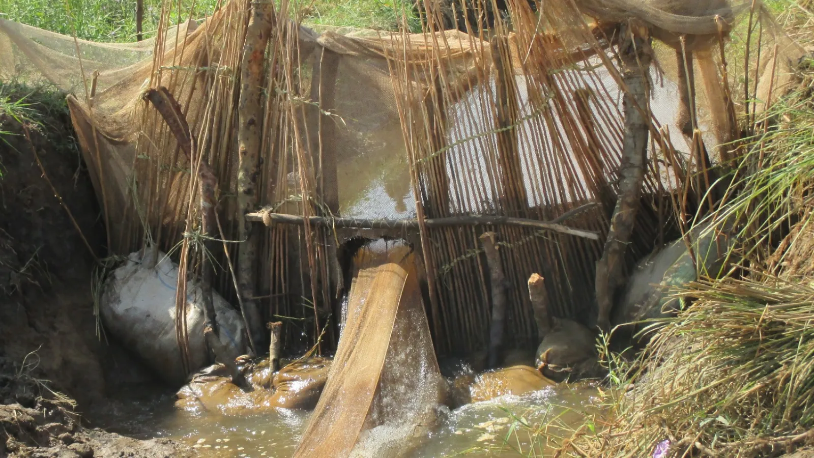 Fish canal.