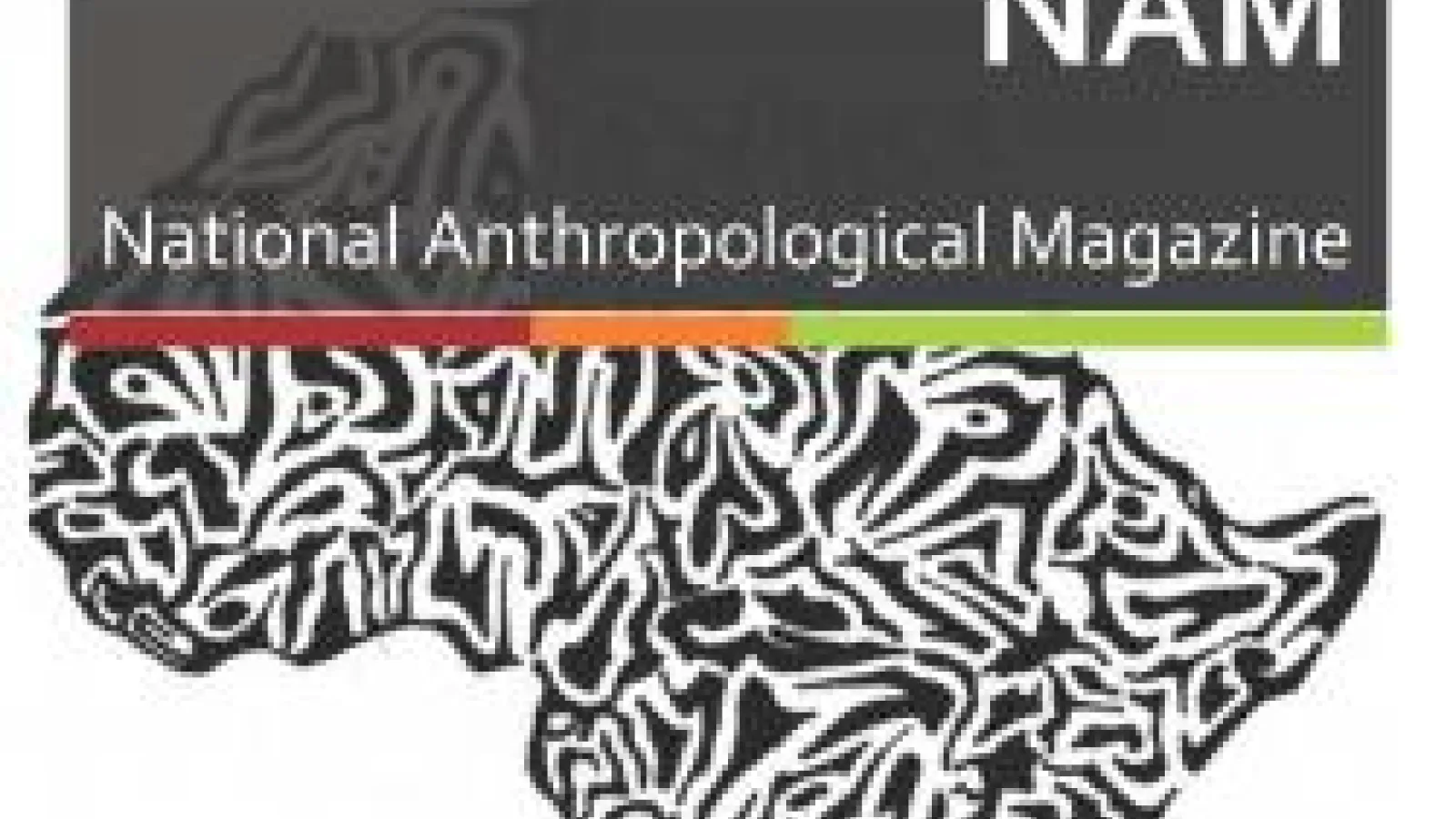 NAM cover