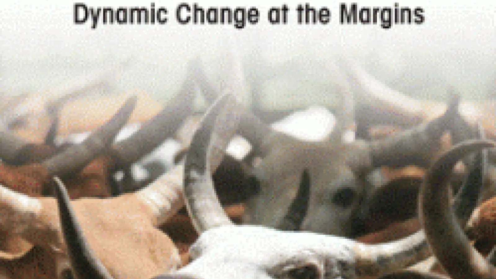Pastoralism and Development Cover