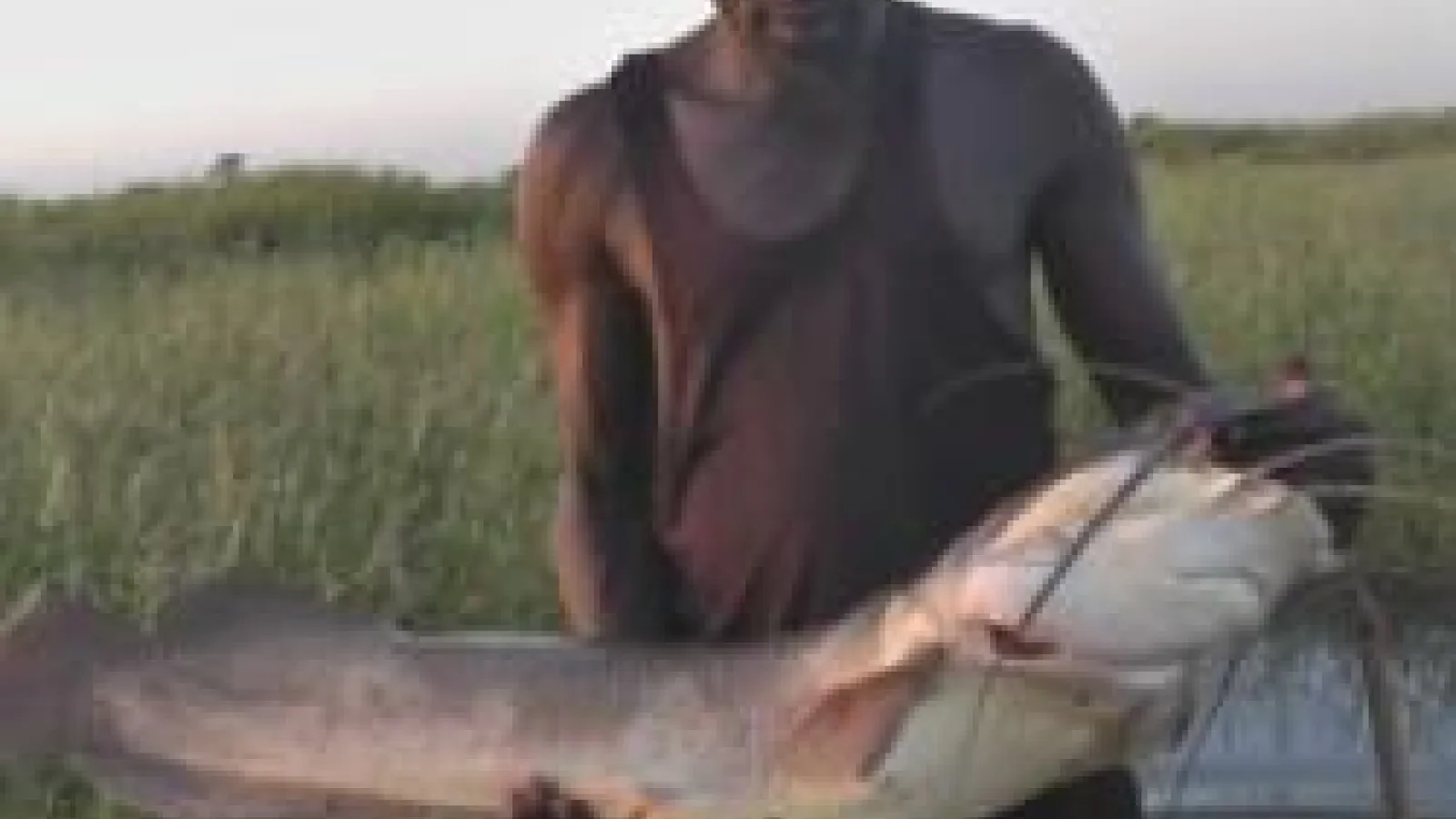 Fish caught in flood plain