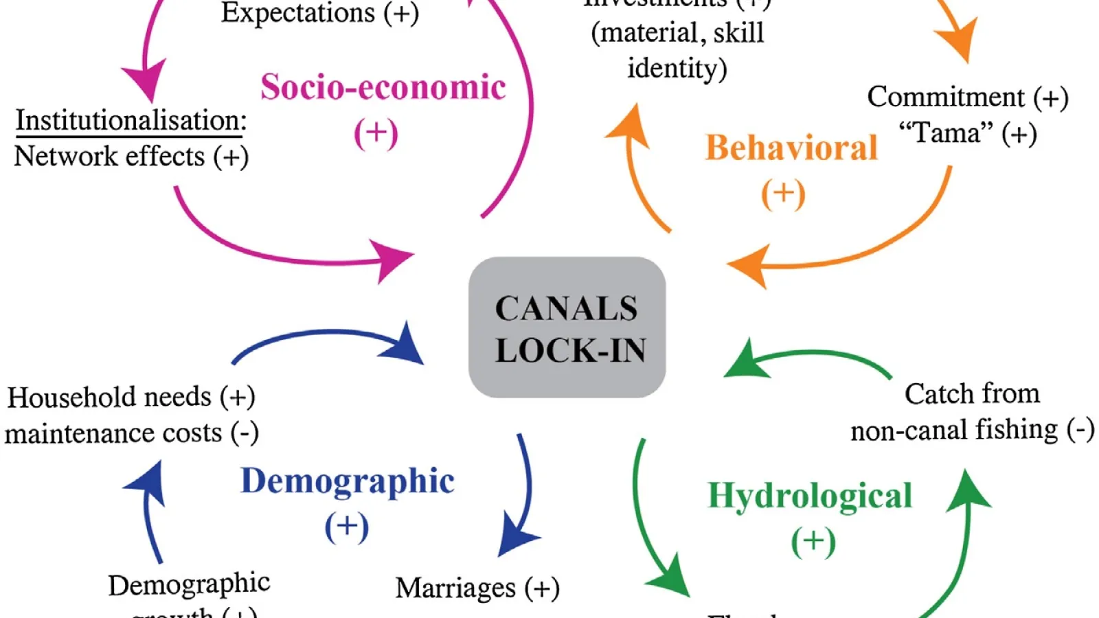 Figure with socio-ecological lock-in.