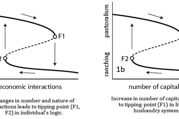 Figure 1: two types of critical transitions.