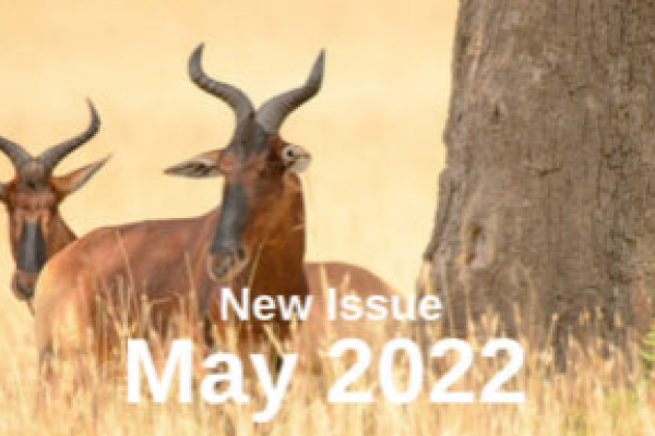 Oryx cover May 2022 issue.