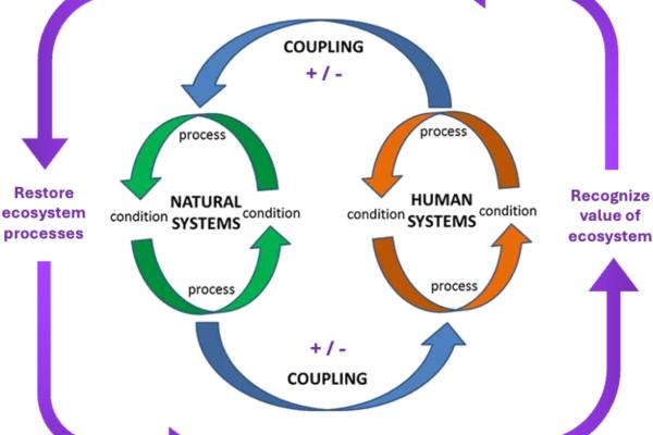 New paper in Frontiers in Conservation Science