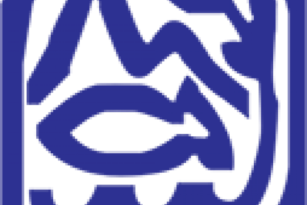 IJC logo IJC logo.