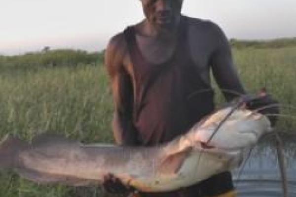 Fish caught in flood plain