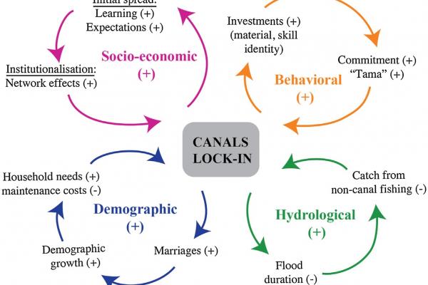 Figure with socio-ecological lock-in.