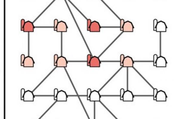 Network figure. Network figure.